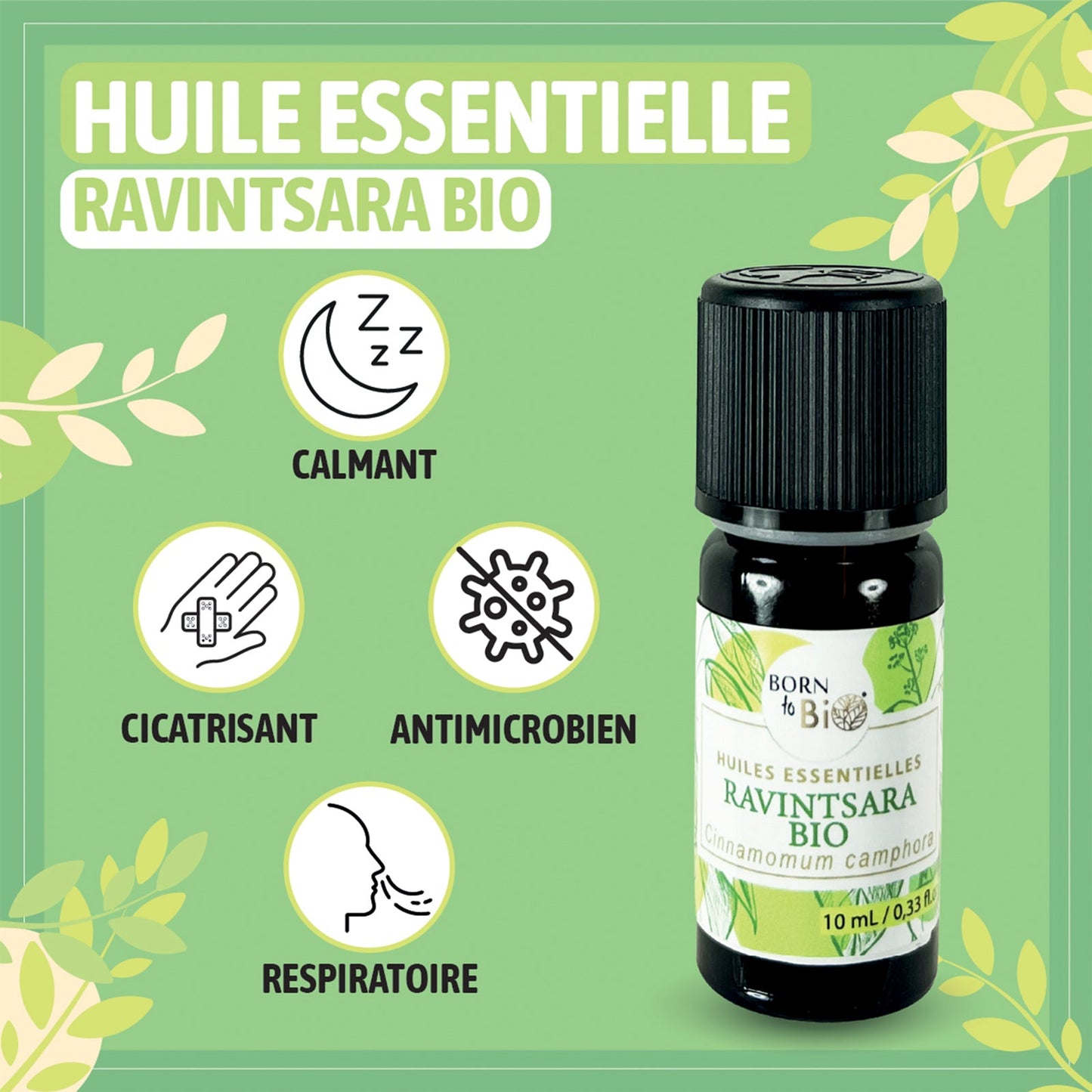 Huile essentielle Ravintsara Certifiée Bio-1