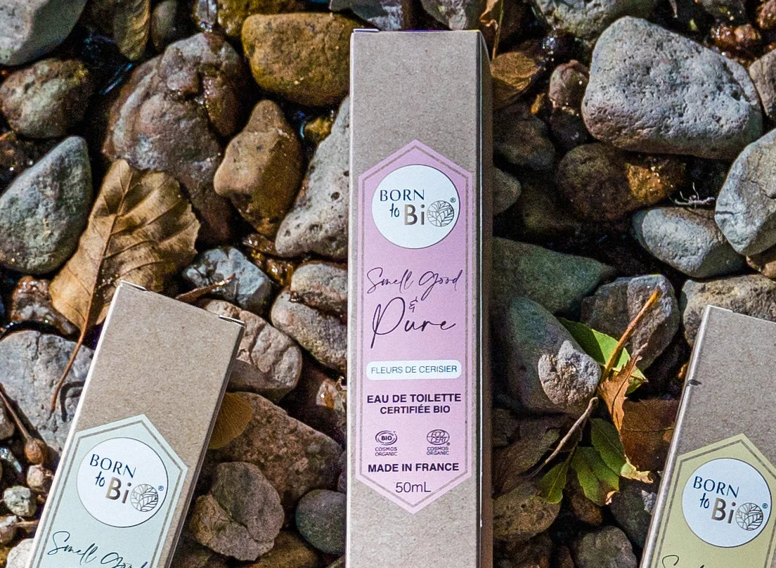 Fleurs de Cerisier - Eau de toilette-2