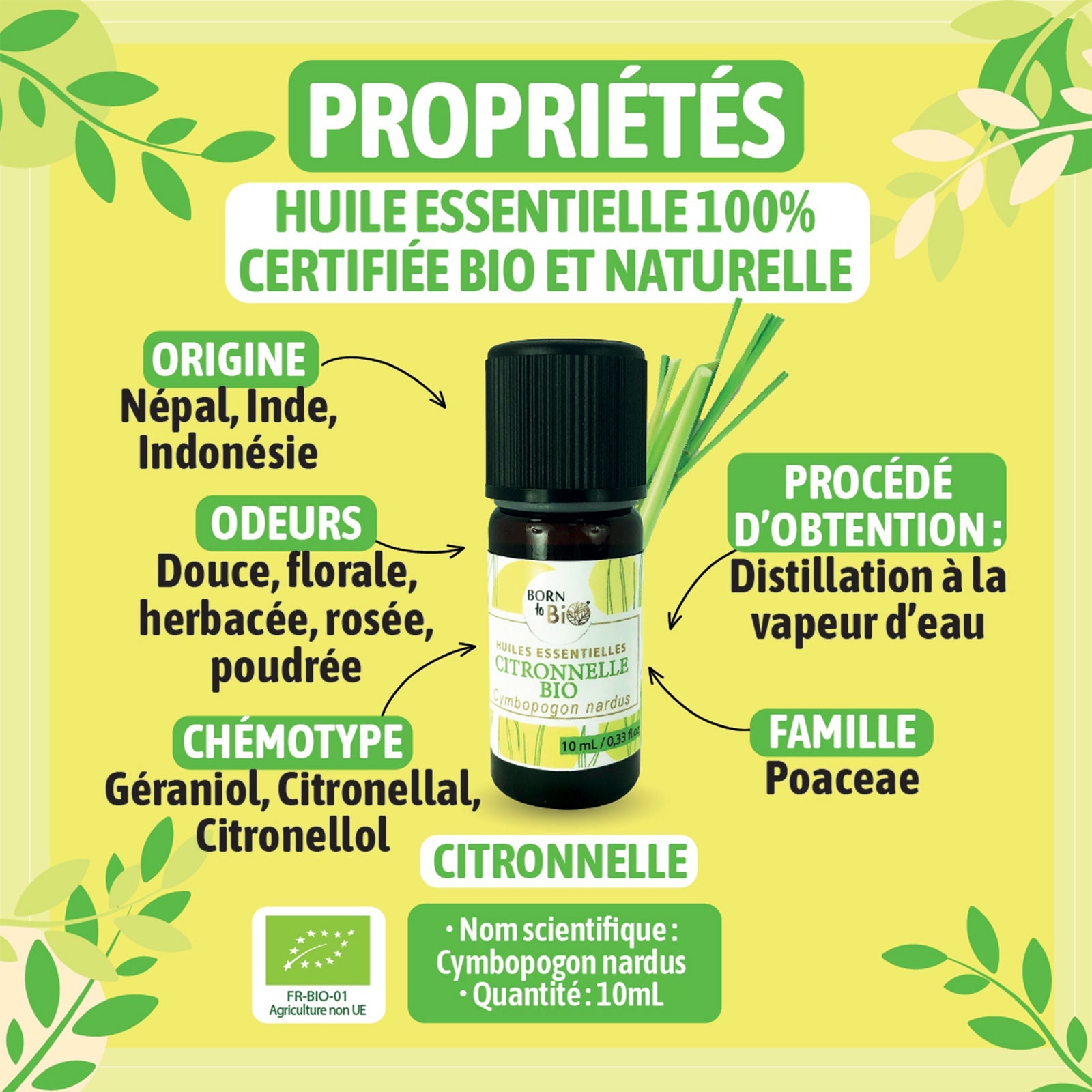 Huile essentielle Citronnelle Certifiée Bio-2