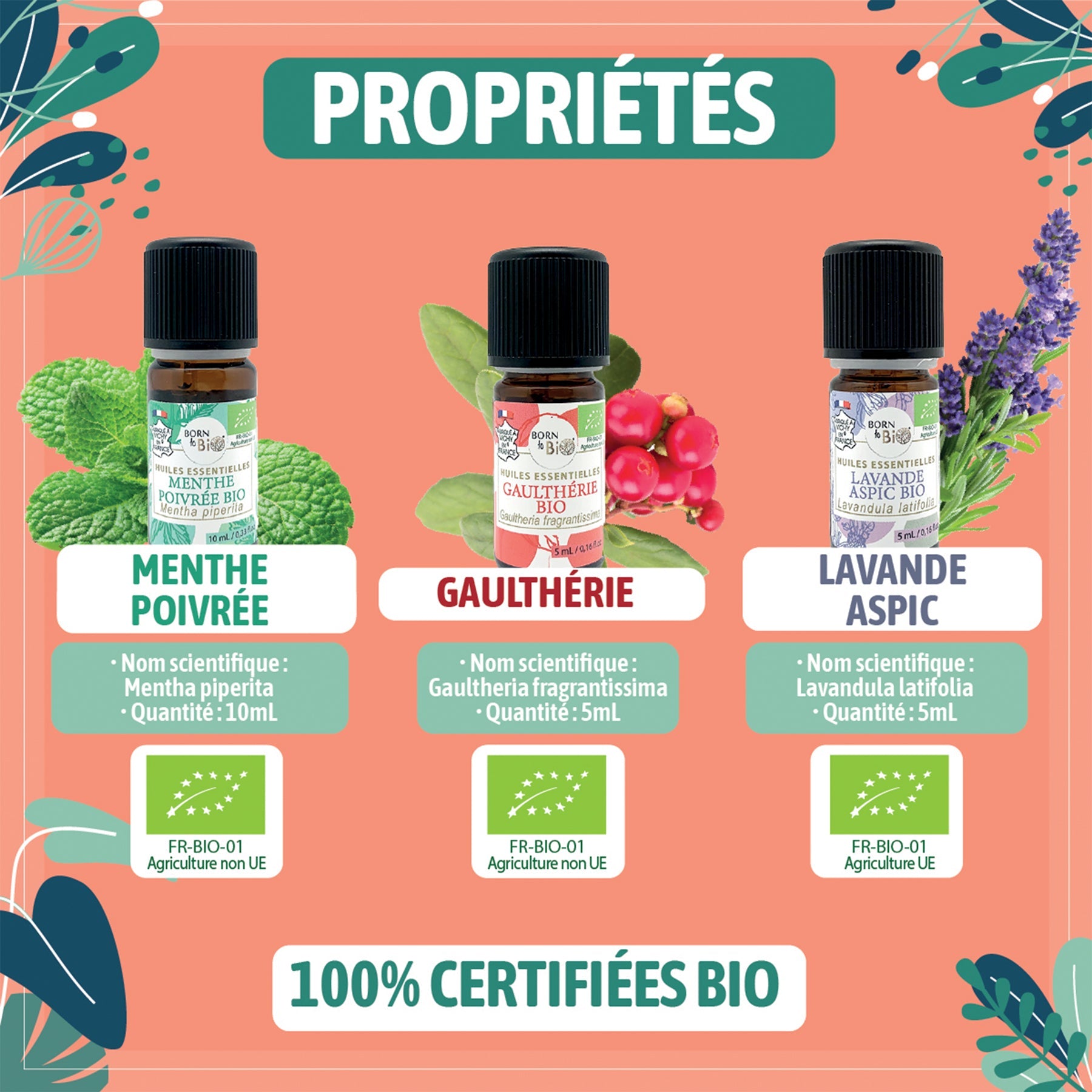 Coffret thématique tracas du quotidien-2