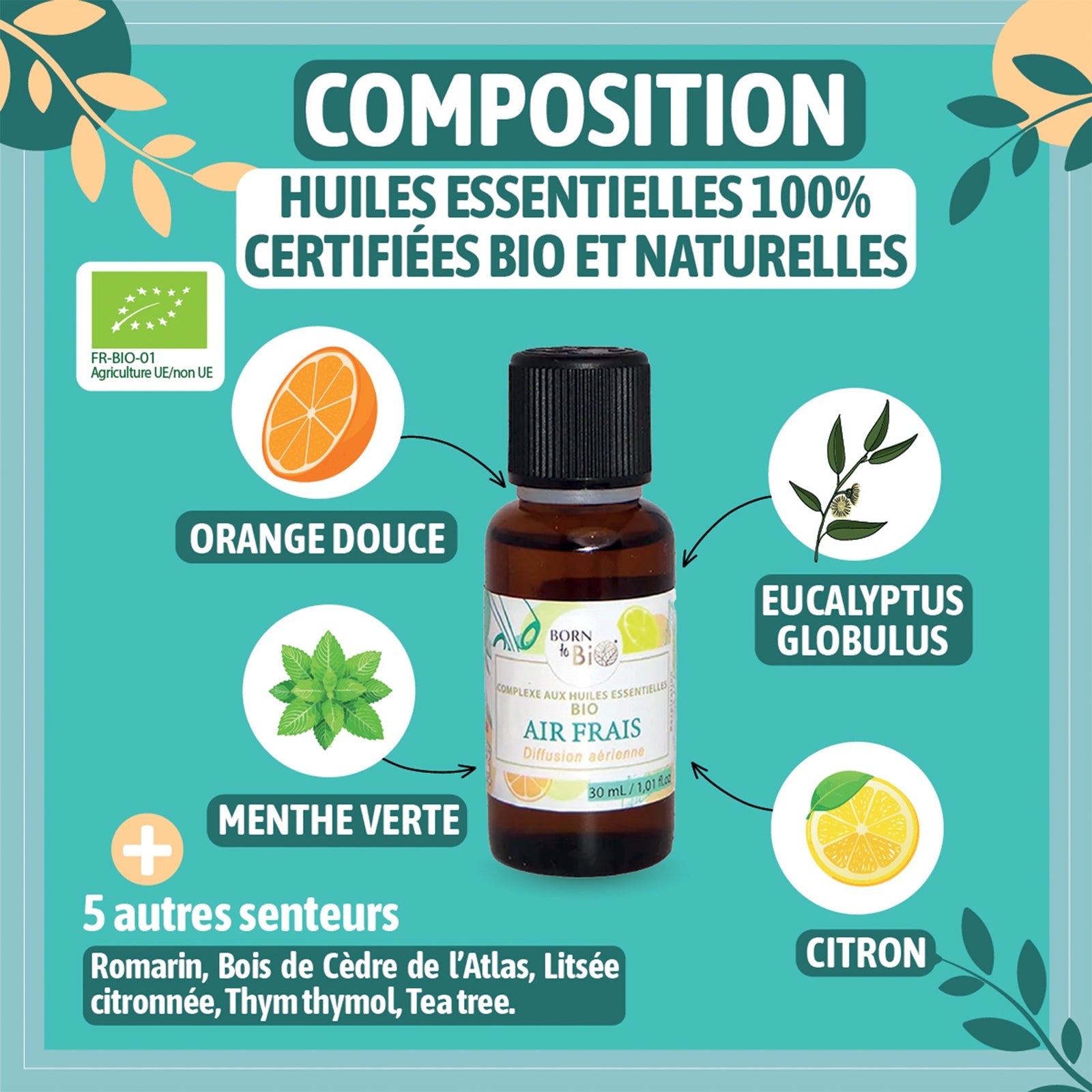 Air Frais - Complexe aux huiles essentielles Certifiées Bio-2