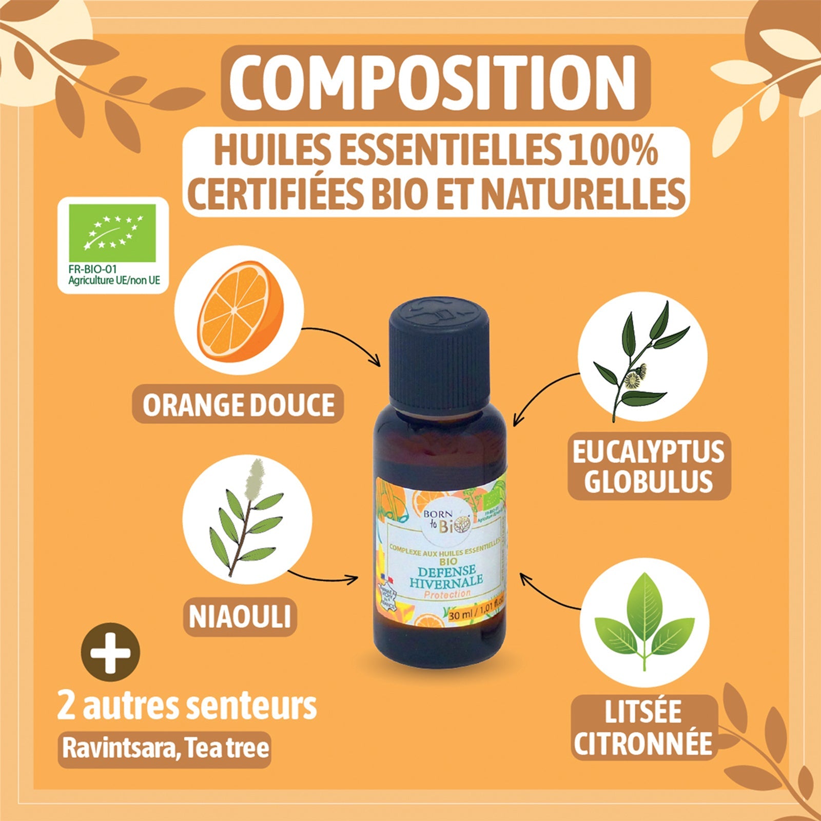 Défense Hivernale - Complexe aux huiles essentielles Certifiées Bio-2