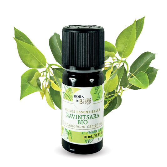 Huile essentielle Ravintsara Certifiée Bio-0