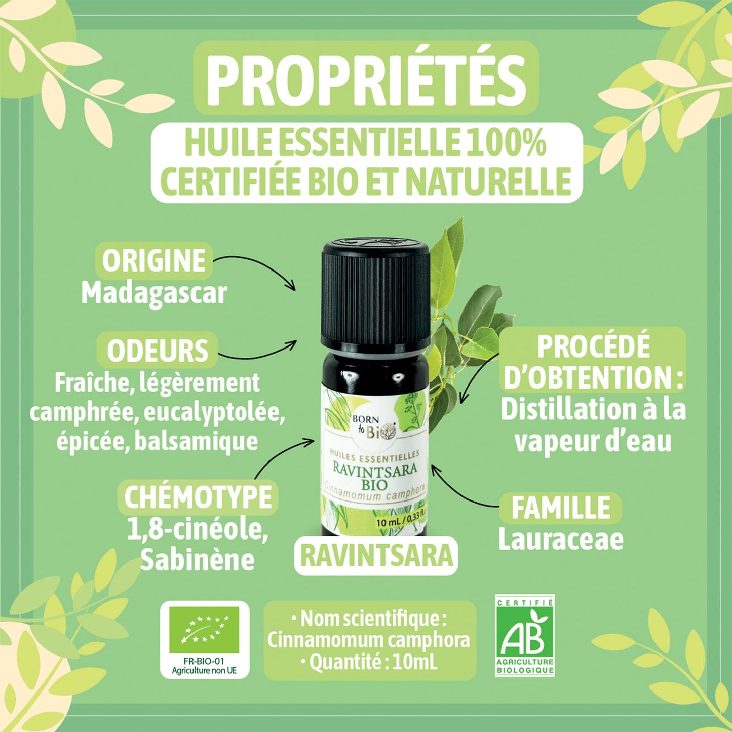 Huile essentielle Ravintsara Certifiée Bio-2