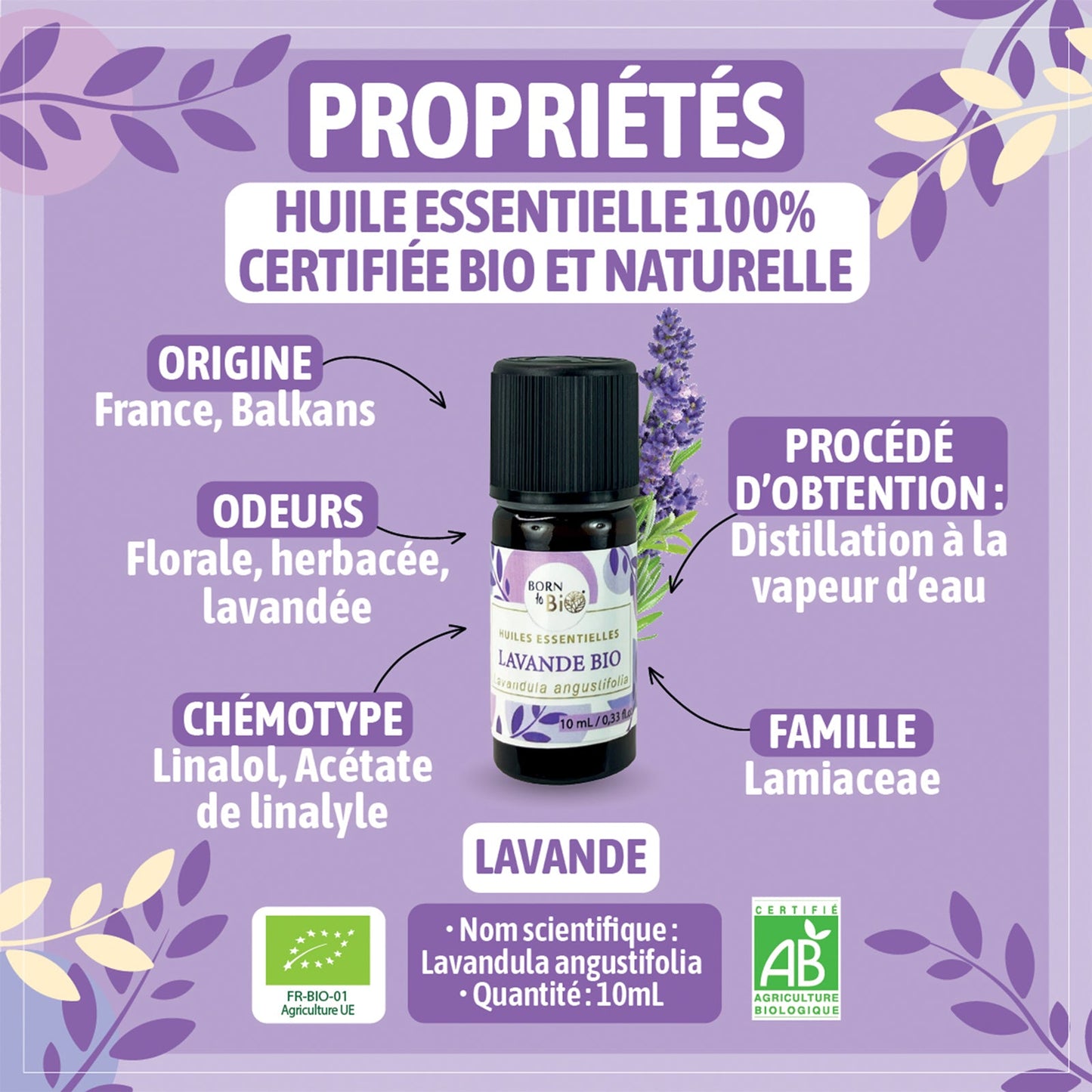 Huile essentielle Lavande Certifiée Bio-2