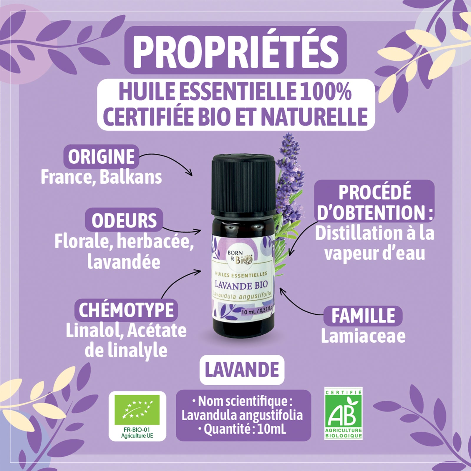 Huile essentielle Lavande Certifiée Bio-2
