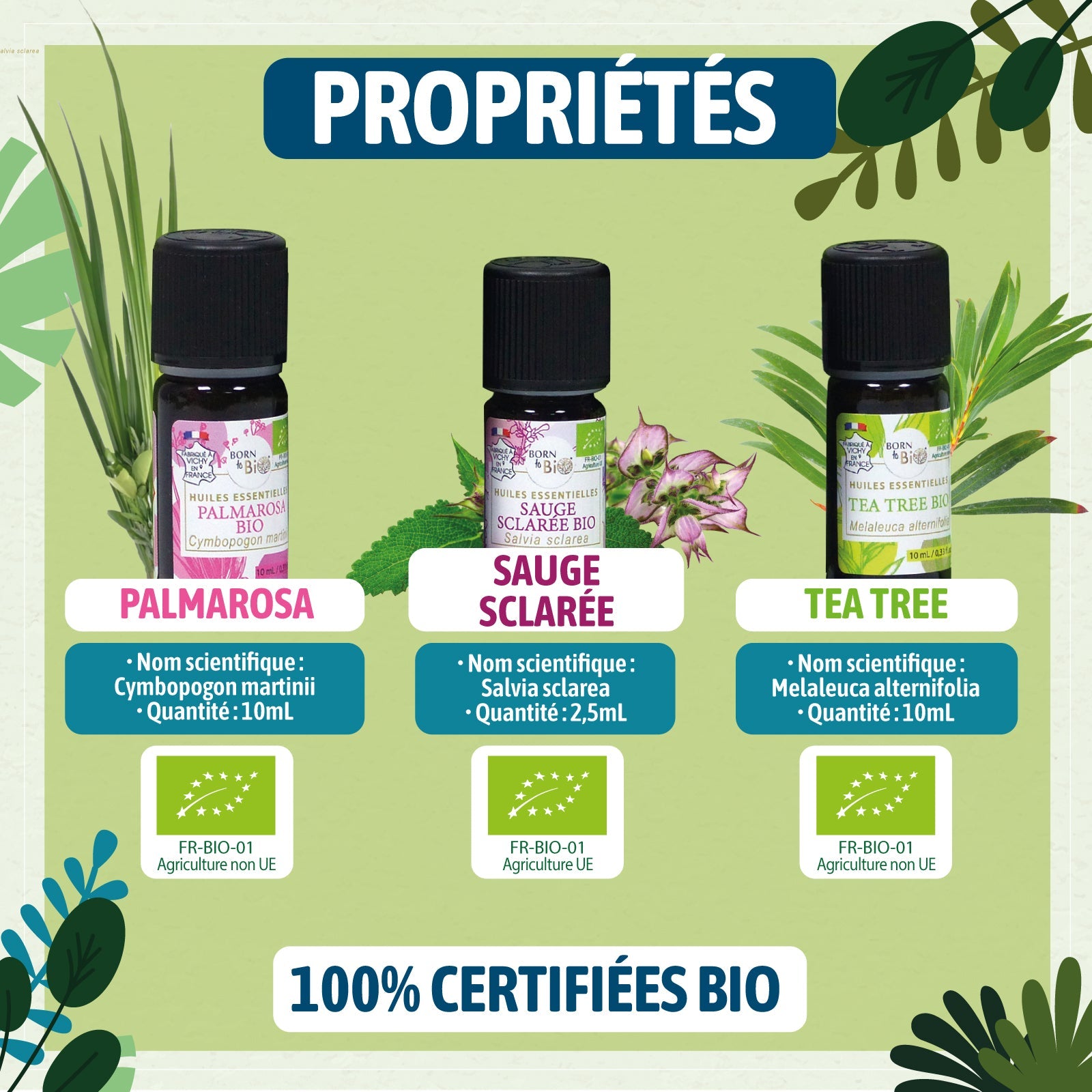 Coffret thématique visage pur-2