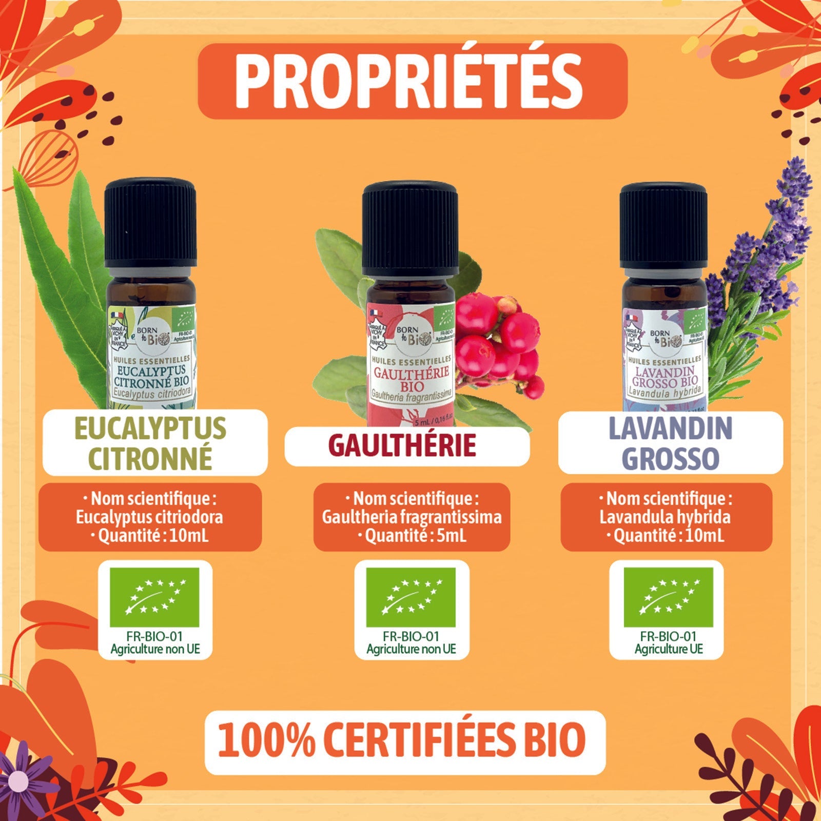 Coffret thématique sport-2